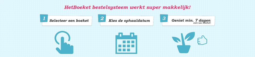 header.png