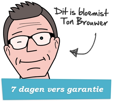 Tonnie.jpg