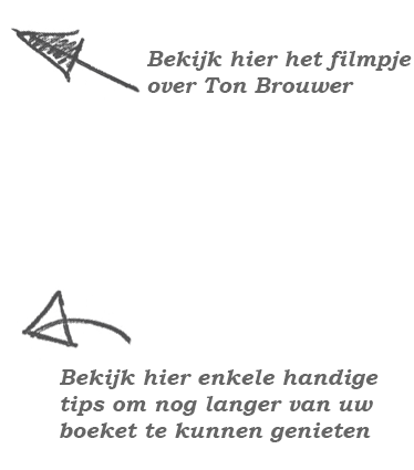 kies.png