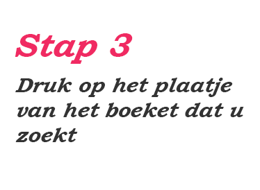 stap3.png